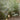 Polyethylene Shade Cesta Outdoor Lamp