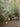 Polyethylene Shade Cesta Outdoor Lamp