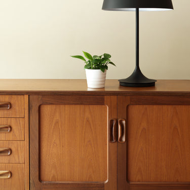 Seed Design China Table Lamp