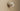 Ciro Wall light by Pablo Designs in Sand, three-quarter view