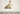 Coolicon Large 1933 Design Vitreous Enamel Pendant – Classic Cream in a room, look 65