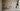 Crosshatch ceiling and wall lamp by Brad Ascalon