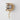 ET2 Planetary LED Wall Sconce Gold