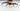 ET2 Hoopla 3-Light LED Semi Flush Mount Black/Gold