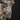 ET2 Rinkle 24-Light LED Pendant French Gold
