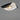ET2 Carmen 32" LED Pendant Black/Gold