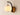 ET2 Soji LED Wall Sconce Black/Gold