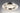 ET2 Charm LED Ceiling Mount Polished Chrome