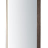 ET2 24" x 31.5" Rectangular LED Mirror Anodized Bronze