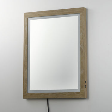 ET2 Sawyer 24"x32" Oak Framed LED Mirror Oak