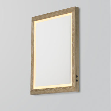 ET2 Sawyer 24"x32" Oak Framed LED Mirror Oak