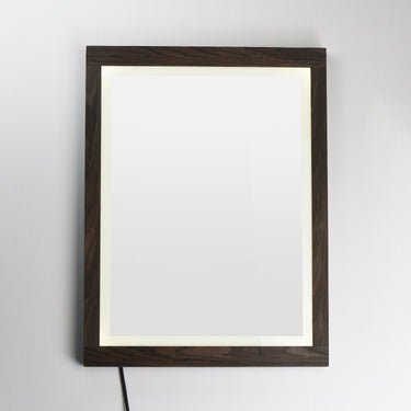 ET2 Sawyer 24"x32" Walnut Framed LED Mirror Walnut