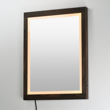 ET2 Sawyer 24"x32" Walnut Framed LED Mirror Walnut