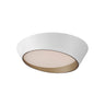 ET2 Slant 19.75" LED Flush Mount White/Gold