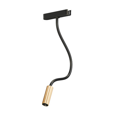 ET2 Continuum Reading track light, Black / Gold, front view with a gold lamp end on the black gooseneck arm