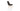 Eiffel Star Chair Leather by SohoConcept - New