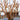 Little Building Co. Farnsworth House Plano, Illinois
