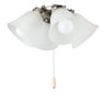 Maxim Lighting 4-Light LED Ceiling Fan Light Kit with Bulbs Satin Nickel