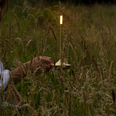 Close-up of Graypants Wick GP204, touch control, glowing warm white light in a field