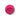 Koncept Gravy Wall Sconce Metallic Black Body Matte Hot Pink Plates Plug-In