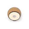 Koncept Gravy Wall Sconce Metallic Black Body White Oak Plates Hardwire