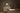 Koncept Gravy Wall Sconce Matte White Body Oiled Walnut Plates Plug-In
