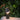 Koncept Guy LED Lantern Shade Matte Black