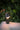 Koncept Guy LED Lantern Shade Matte Black