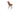 Gazel MW Chair by SohoConcept - New