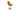Gazel Round Swivel Chair by SohoConcept - New