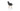 Gazel Star Armchair by SohoConcept - New