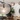 Contemporary Geno pendant installed above a dining table with warm illumination