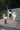 Designer LED lantern by Kenneth Ng and Edmund Ng with playful modern aesthetic.