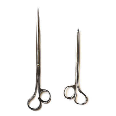 IC Design - Antonia Campi - Neto Scissors