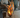 MacMaster Iris Table Lamp
