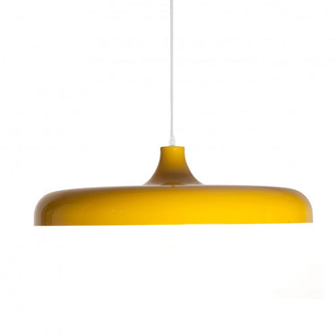 Decorative ceiling light with dome shade and steel canopy in boutique dining room setting