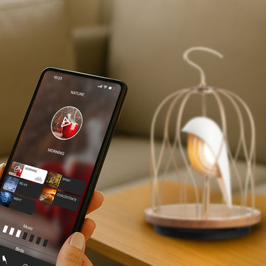Streaming a playlist to the Ivory White Jingoo by Daqiconcept