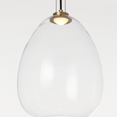 Elegant clear glass pendant with integrated LED and brass accents for contemporary home lighting