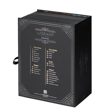 Magical Holiday Gift - LADENAC Enchanted Odyssey Advent Calendar