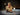 Le Klint Spot Wall/Table Lamp, interior photo 1