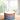 Sugar Bowl by Missoni Home in Waves, view 2