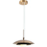 Modern Black and Brass Dome Pendant Light  - Meadowgreen
