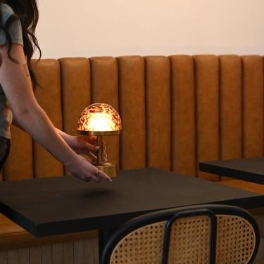 Mini Cordless Table Lamp Mini Tortoise with brass accents