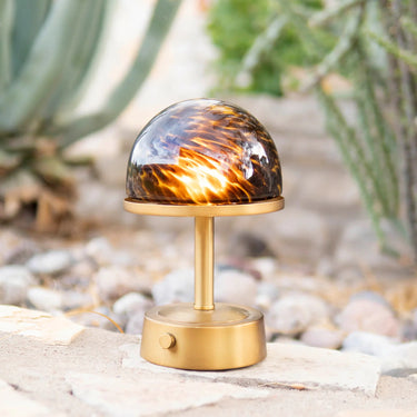Mini Cordless Table Lamp Mini Tortoise in contemporary decor