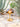 Mini Cordless Table Lamp Mini Tortoise in contemporary decor