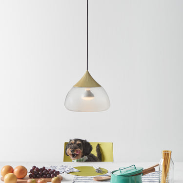 Seed Design Mist Pendant Large Brass