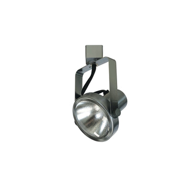 Natural Metal – Nora PAR30 Gimbal Ring Track Head product photo