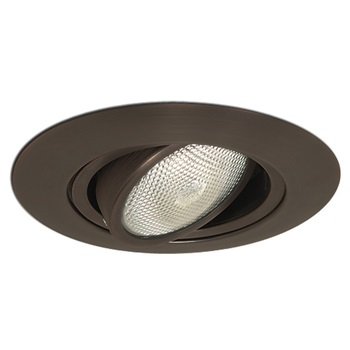Nora 6" PAR30 Gimbal Ring with Metal Trim detail photo