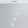 NYTA Multiple Canopy