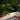 Oluce Berlin-Out table lamp on a garden terrace among flowering plants